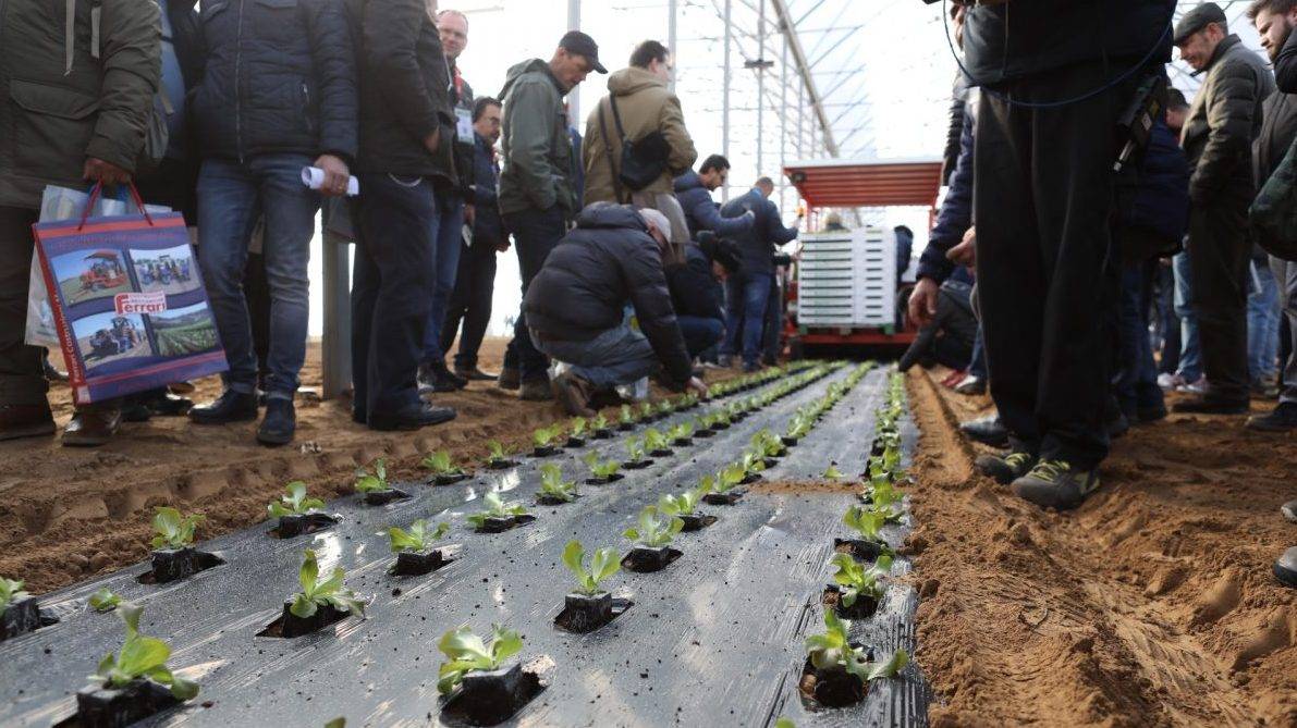 orticoltura-in-campo-|Orticoltura in campo 2018-Forigo|orticultura in campo-Ferrari-3|Orticultura-in-campo-600x250 (1)|orticultura-in-campo-imp